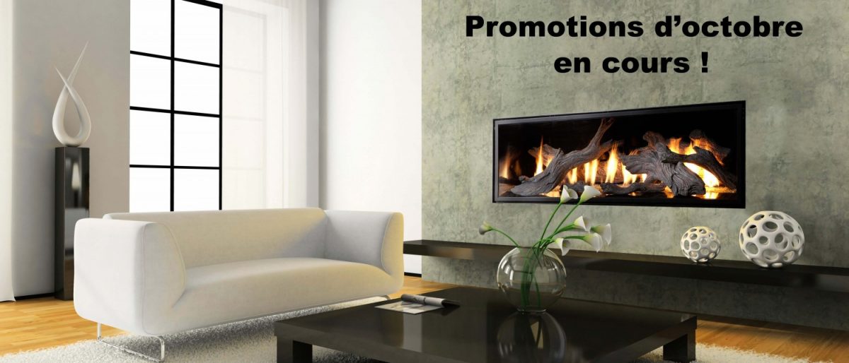 Permalien vers:Promotions